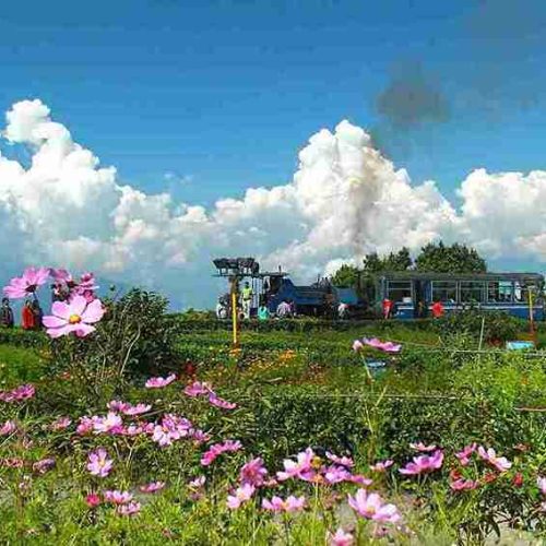 RAILS, TEA & MOUNTAIN MISTS_11zon